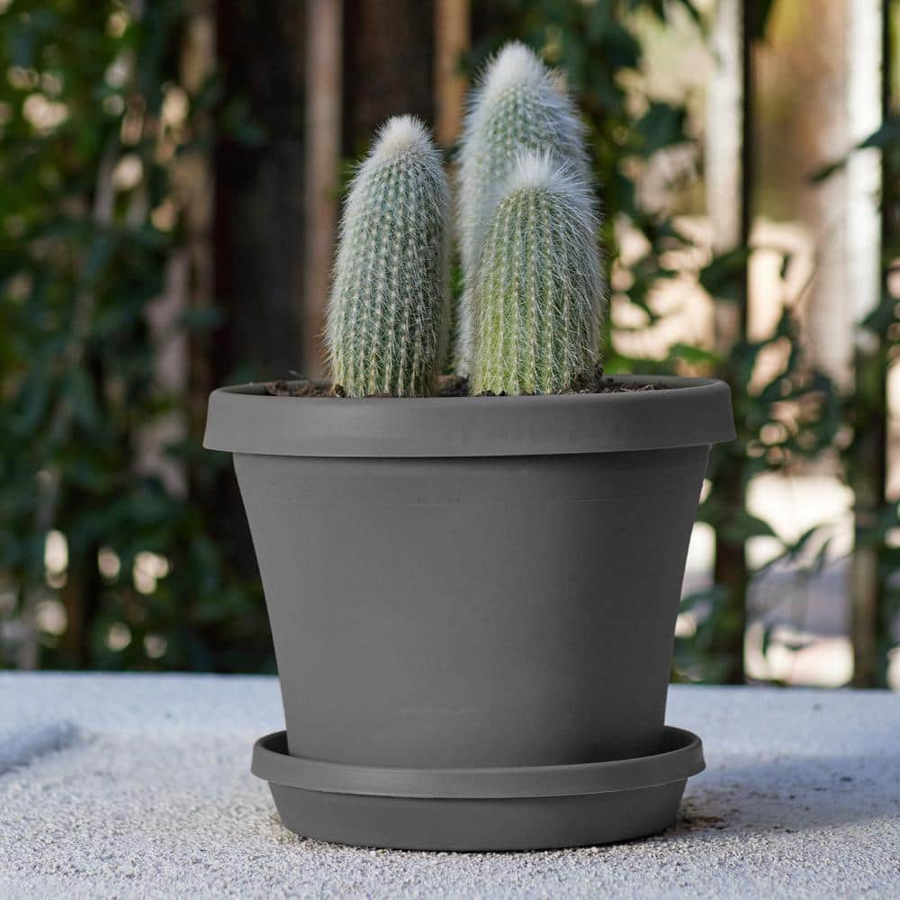 Bloem Charcoal Terra 10" Tapered Outdoor Planter