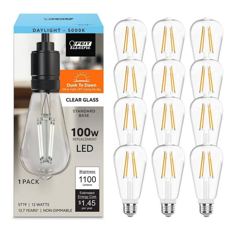Feit Electric 100-Watt Equivalent ST19 Straight Filament Dusk to
