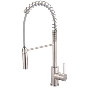i2v Single Handle Pre-Rinse Spring Pull Down Sprayer Kitchen Faucet in Brushed Nickel