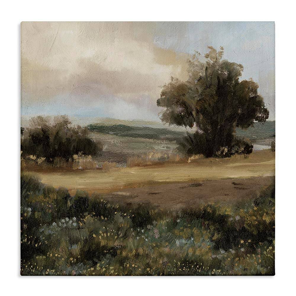 Vast Country Terrain by Cloverfield and Co. Unframed Nature Graphic Art Print 17 in. x 17 in. price history on PriceWatchPro