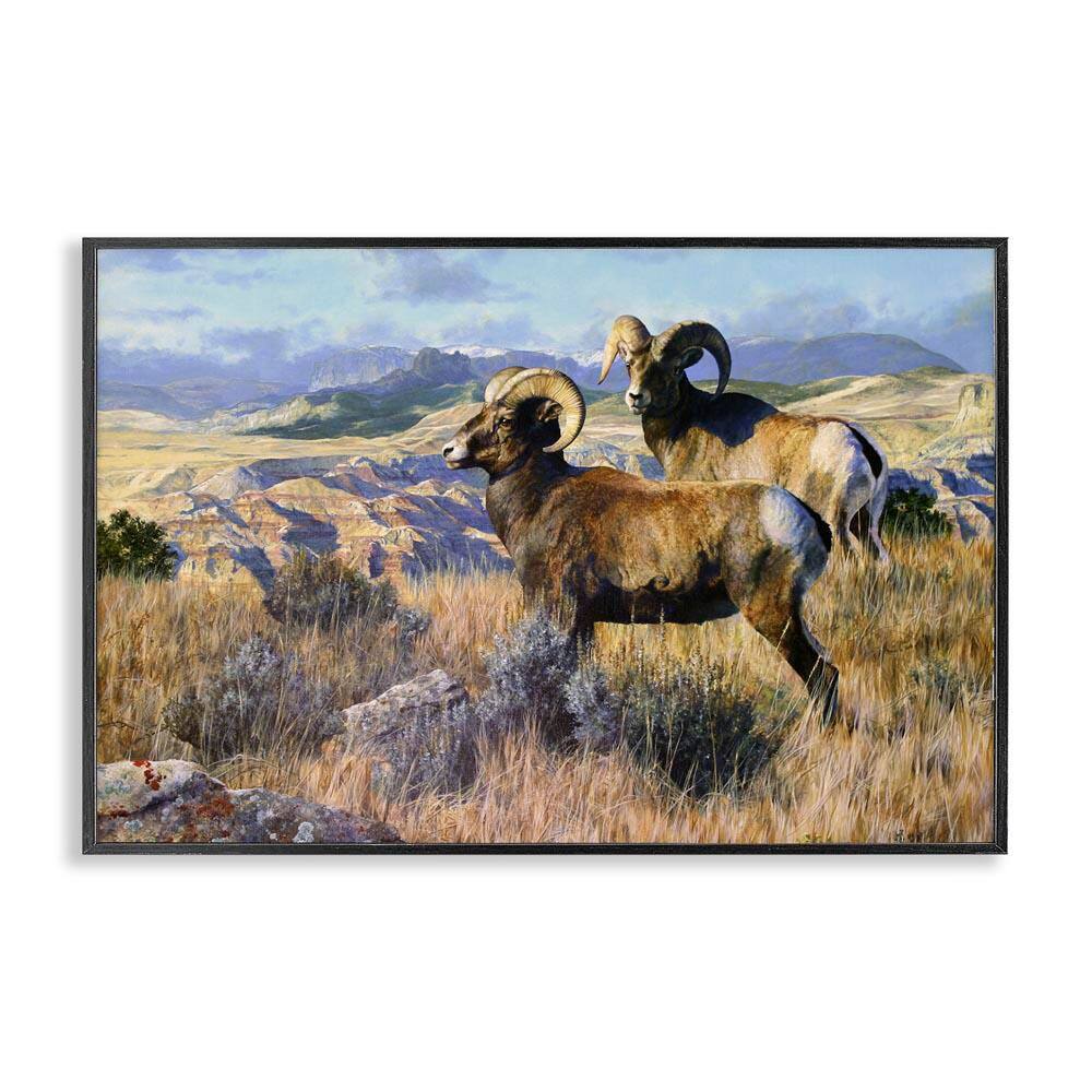 Wild Rams Torrey Canyon by Mark Kelso Black Framed Nature Giclee Art Print 12 in. x 18 in. price history on PriceWatchPro