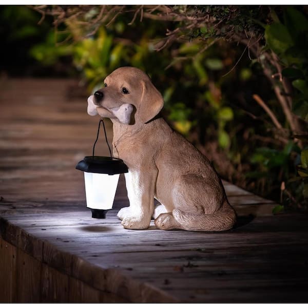 LuxenHome Resin Puppy Garden Statue with Solar Powered Lantern WHST894  The Home Depot