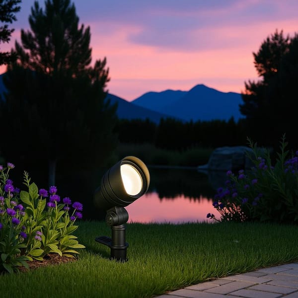 200 Lumen Millennium Black Adjustable Light Color Integrated LED Outdoor Landscape Flood Light
