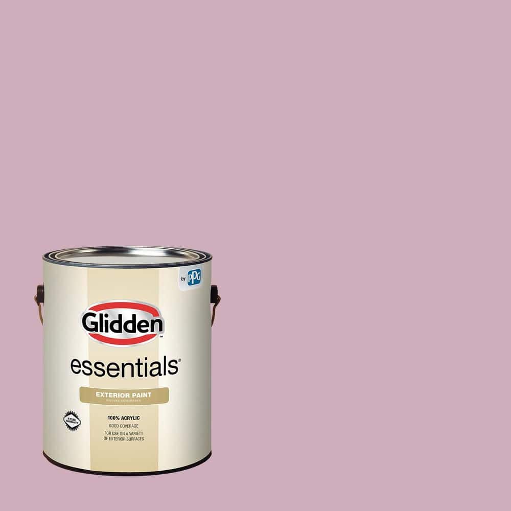 1 gal. PPG1045-4 Pink Potion Semi-Gloss Exterior Paint price history on PriceWatchPro