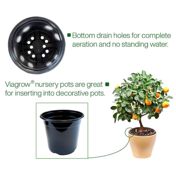 6-Inch Transparent Plastic Planter Plant Nursery Pots with Drainage Hole  Indoor