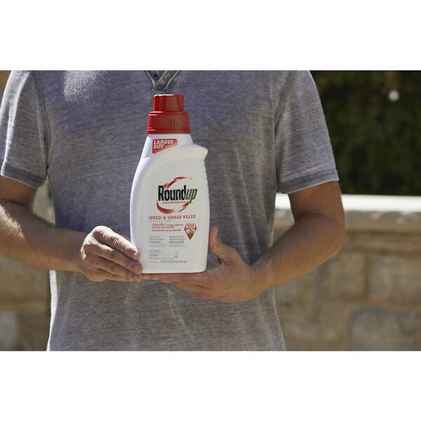Roundup 35 2 Oz Weed And Grass Killer Concentrate 500951005 The Home Depot