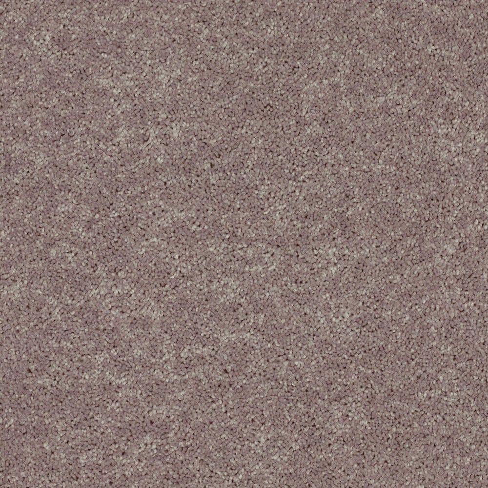 8 in. x 8 in. Texture Carpet Sample - Cottage Comforts - Color Folk Stone price history on PriceWatchPro