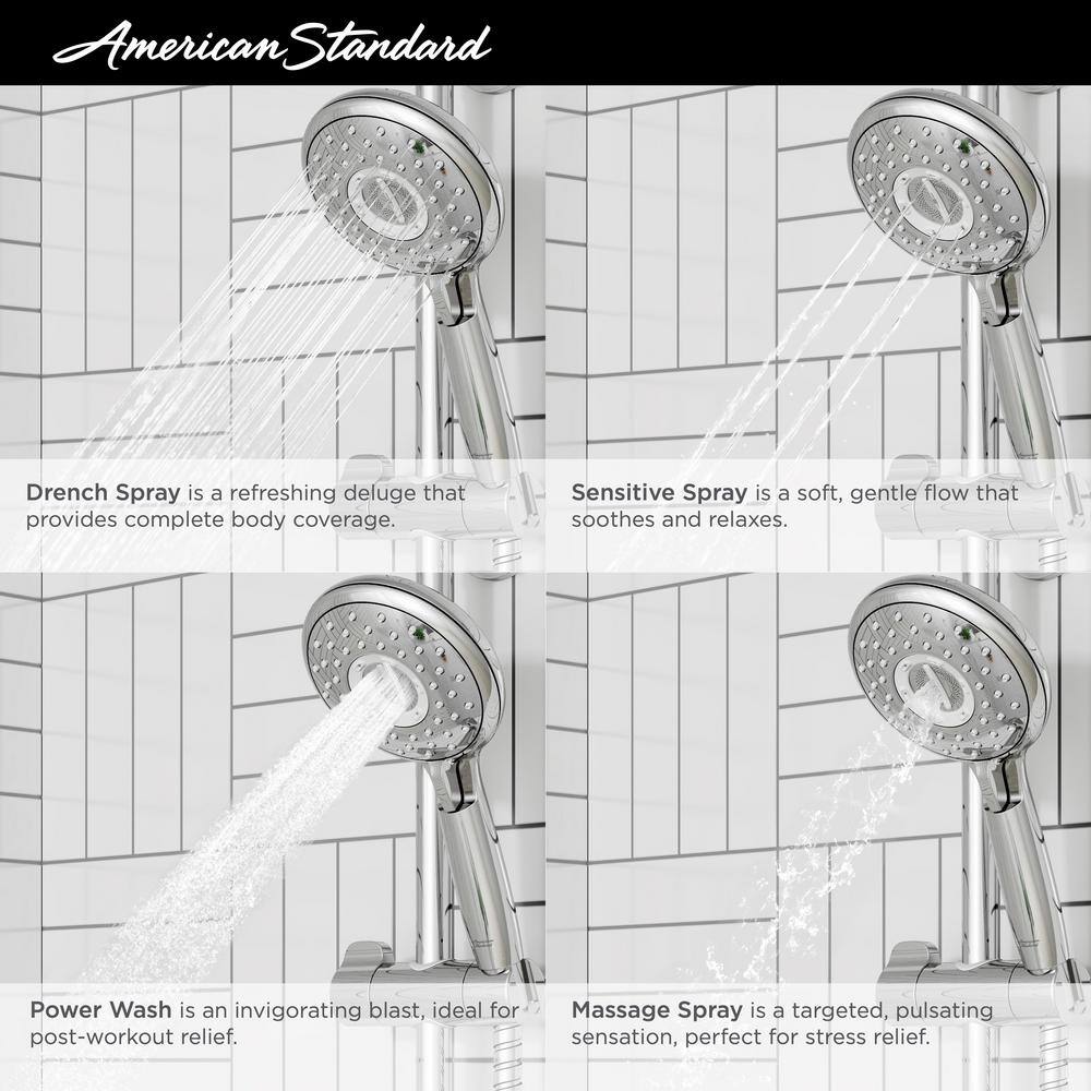 Spectra Chrome Adjustable Handheld Shower System with Filter