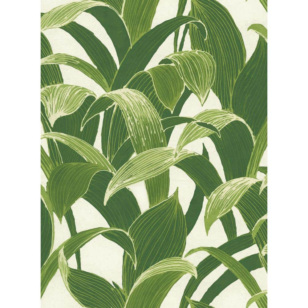 NextWall Banana Groves Vinyl Peelable Wallpaper (Covers 30.75 sq. ft ...