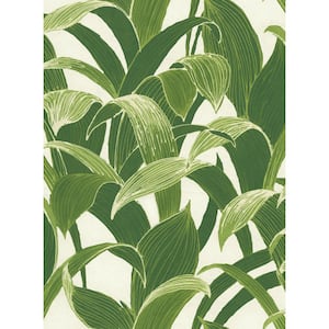 Banana Groves Vinyl Peelable Wallpaper (Covers 30.75 sq. ft.)