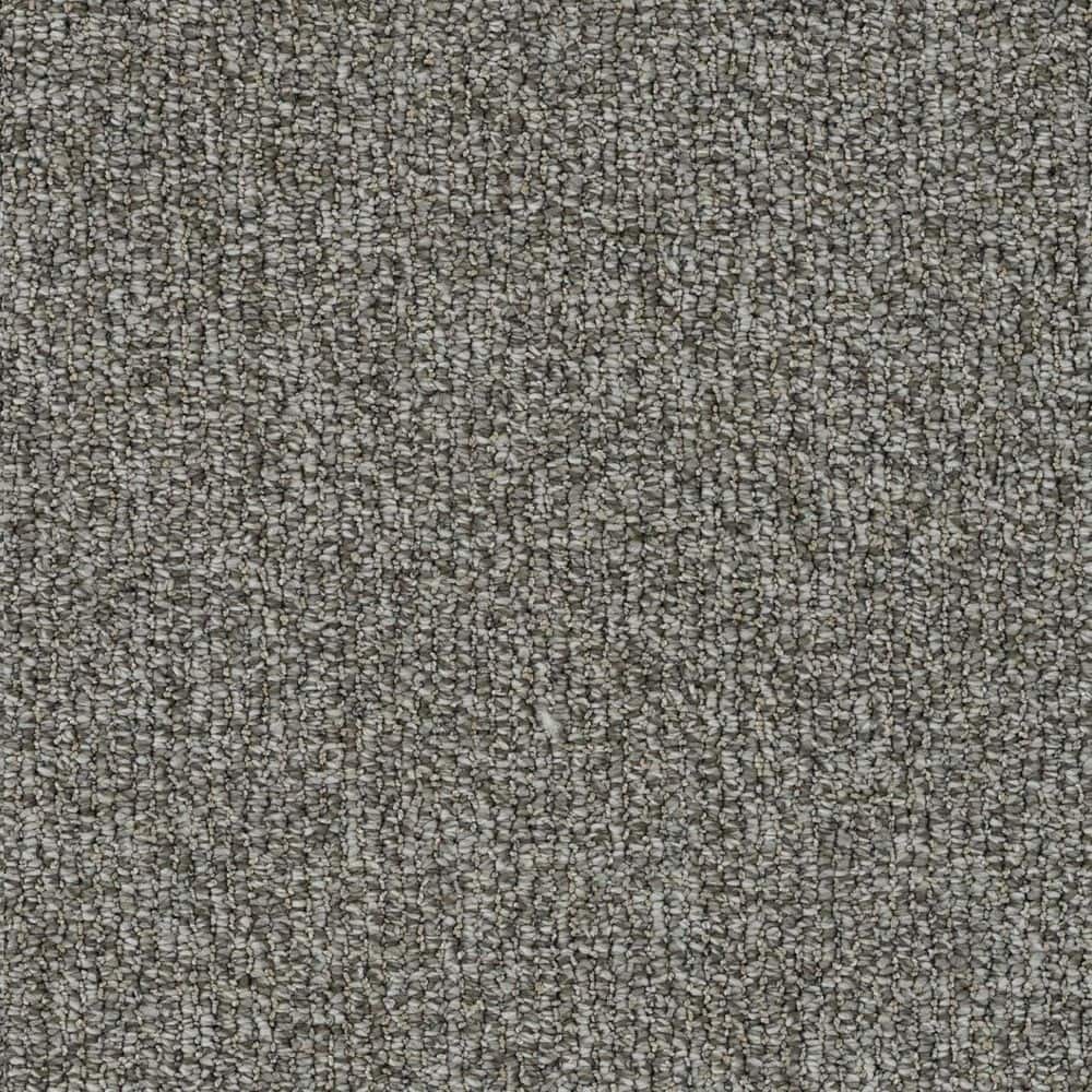 8 in. x 8 in. Loop Carpet Sample - Symphony Walk - Color Strings price history on PriceWatchPro