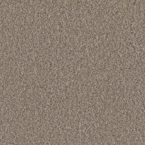 Manuscript III -Publish Beige -65 oz. SD Polyester Texture Carpet - Installation Required