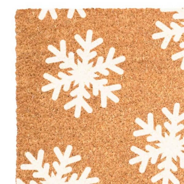 Multi-Colored 36 in. x 24 in. Coir Outdoor Door Mat