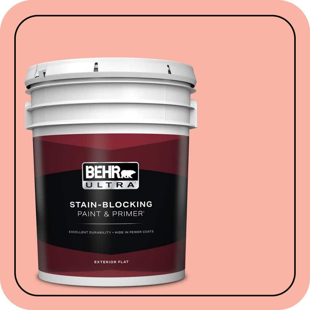5 gal. #180A-3 Just Blush Flat Exterior Paint & Primer price history on PriceWatchPro