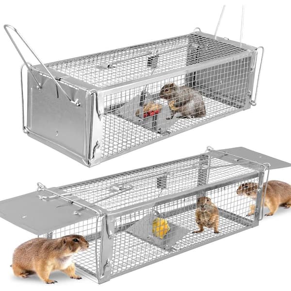 ATENGNES Humane Live Rat Trap Cage Dual Door Live Rat Traps Rodent ...