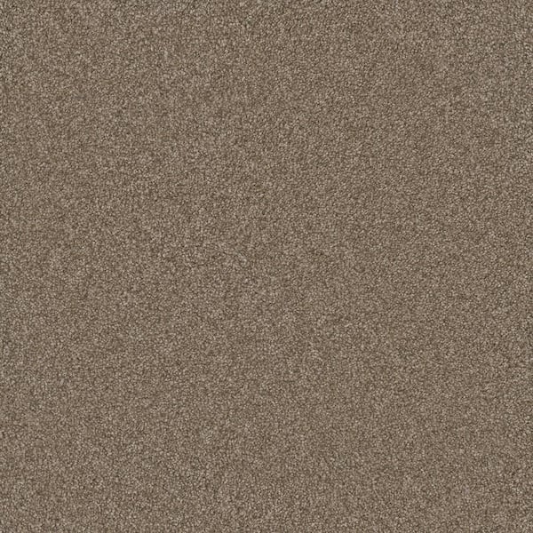 Lifeproof Misty Meadows II- Byron Beige - 60 oz. SD Polyester Texture Installed Carpet
