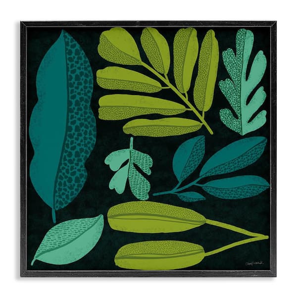 Stupell Industries Plant Toss Collage by Cheryl Warrick Black Framed Nature Giclee Art Print 24 in. x 24 in.