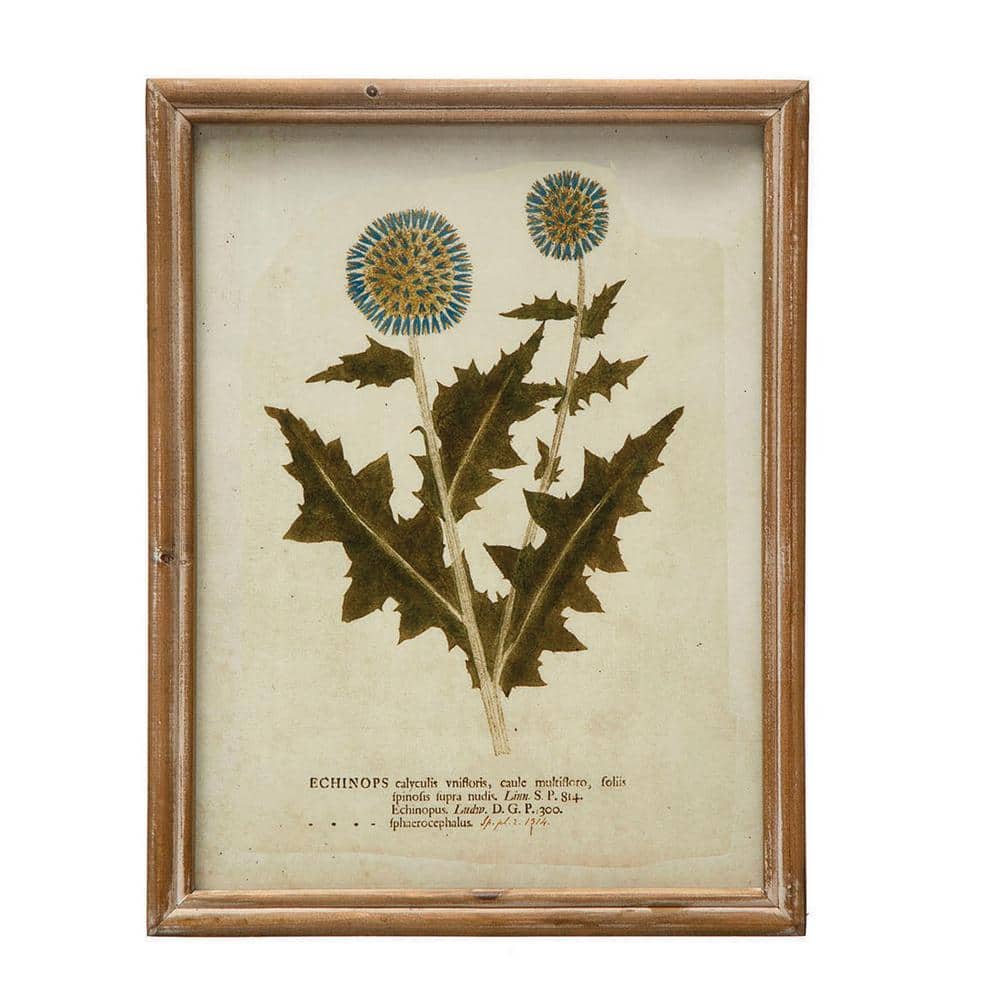 Vintage Botanical Print Set in Wood Frames, 10" x 13"