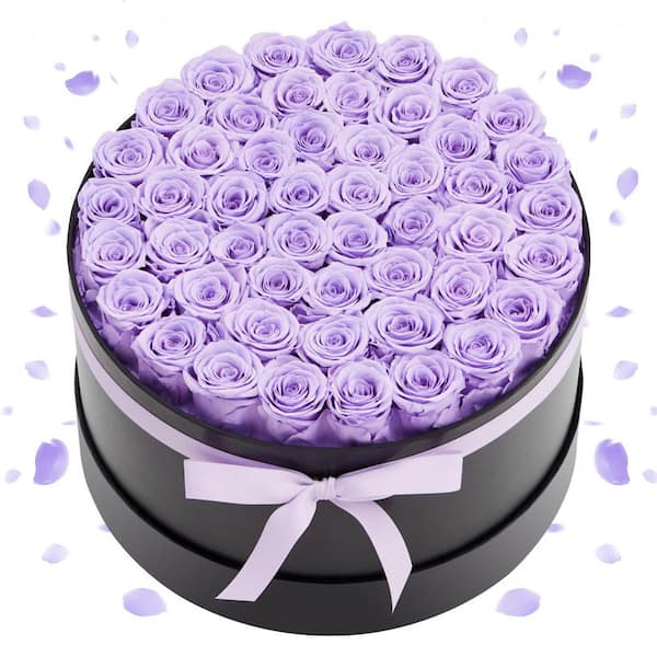 Forever Flowers, 50 Preserved Roses in a Box, Eternal Flowers Immortal Bouquet Birthday Present, Lavender Purple