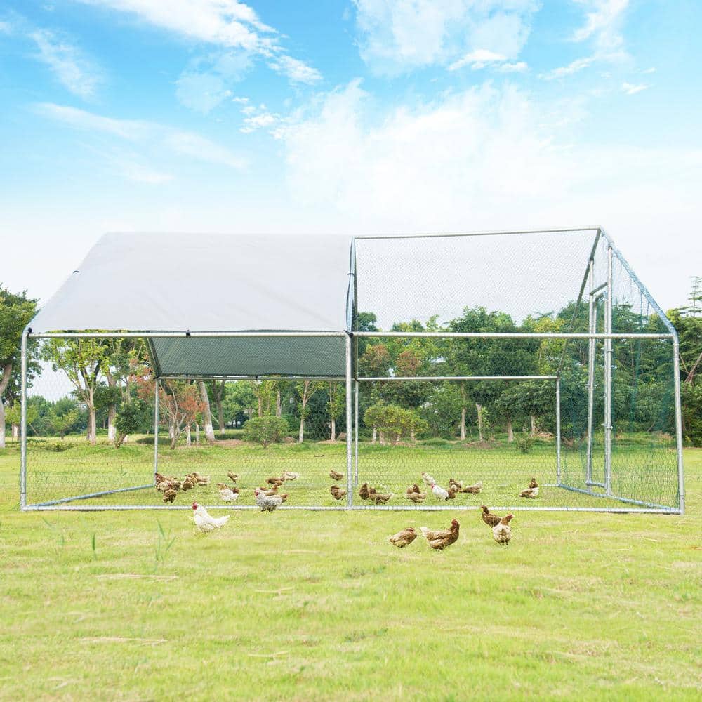 13' x 13' White Galvanized Steel Outdoor Chicken Playpen