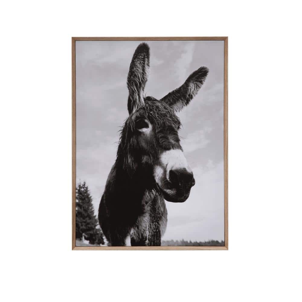 Framed Black and Gray Donkey Canvas Wall Art 37.25 in.