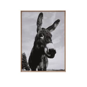 Framed Black and Gray Donkey Photography Wall Art 37.25 in. x 27.25 in.
