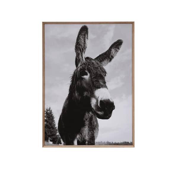Storied Home Framed Black and Gray Donkey Photography Wall Art 37.25 in. x 27.25 in.