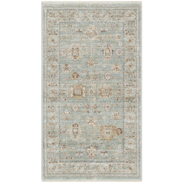 Nourison Traditional Home Mint 3 ft. x 5 ft. Distressed Traditional Area Rug
