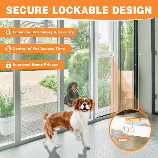 petsafe dog door lock