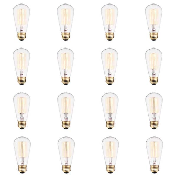 Globe Electric 60 Watt S60 Dimmable Cage Filament Vintage Edison Incandescent Light Bulb, Warm Candle Light (12-Pack)