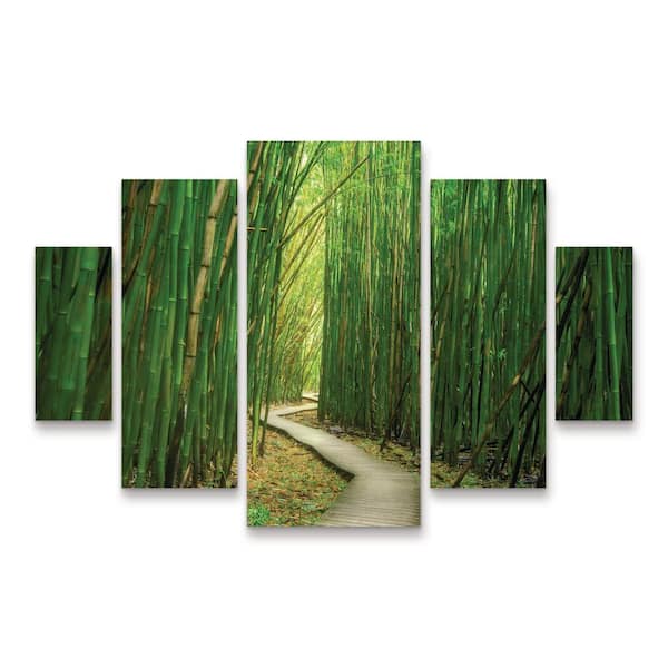 Trademark Fine Art Dennis Frates Bamboo Path 5-Piece Panel Set Unframed Photography Wall Art 40 in. H x 58 in. W