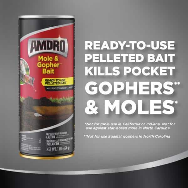 TOMCAT Mole Killerₐ, Mimics Natural Food Source, Poison Kills in a Single  Feeding, 10 Worms 372310 - The Home Depot