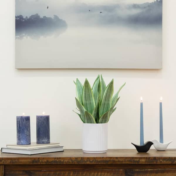 17 in. Artificial Real Touch Snake Plant in Fluted White Pot