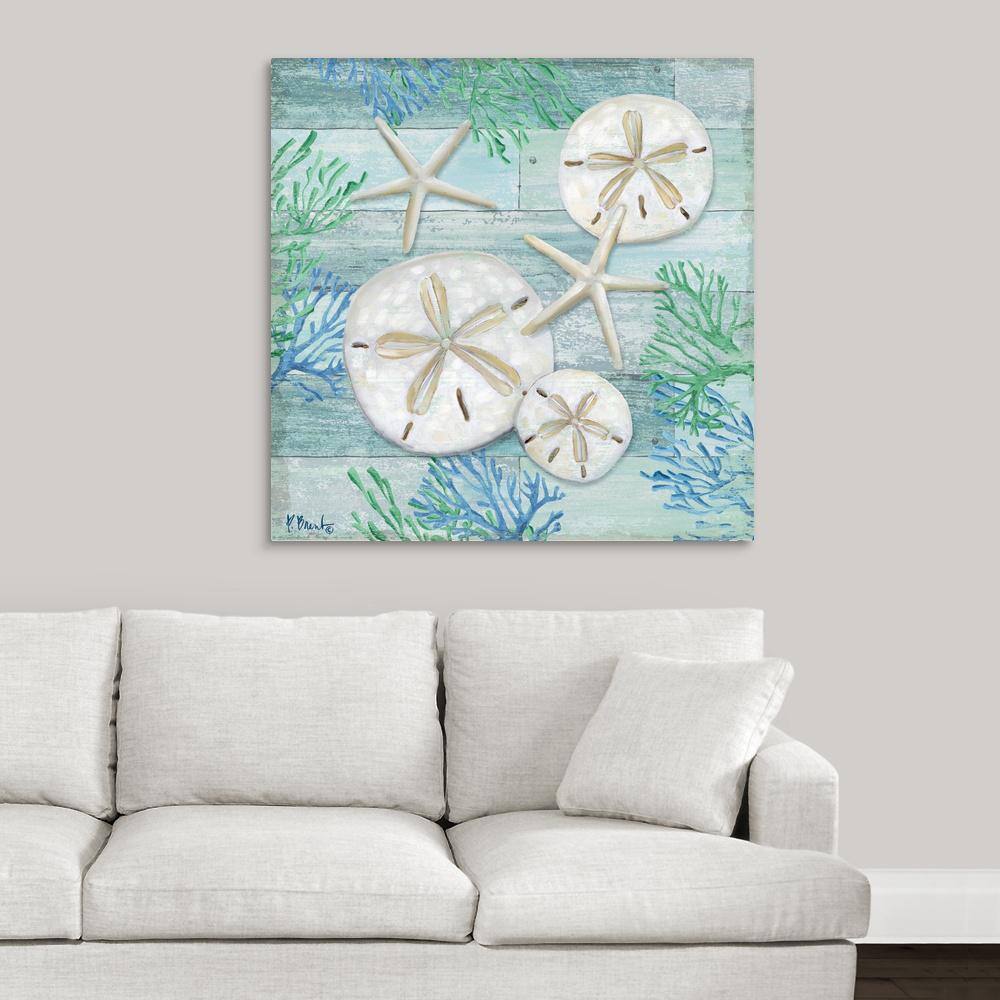 Clearwater Shells I by Paul Brent Canvas Wall Art price history on PriceWatchPro
