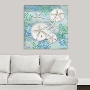 "Clearwater Shells I" by Paul Brent Canvas Wall Art