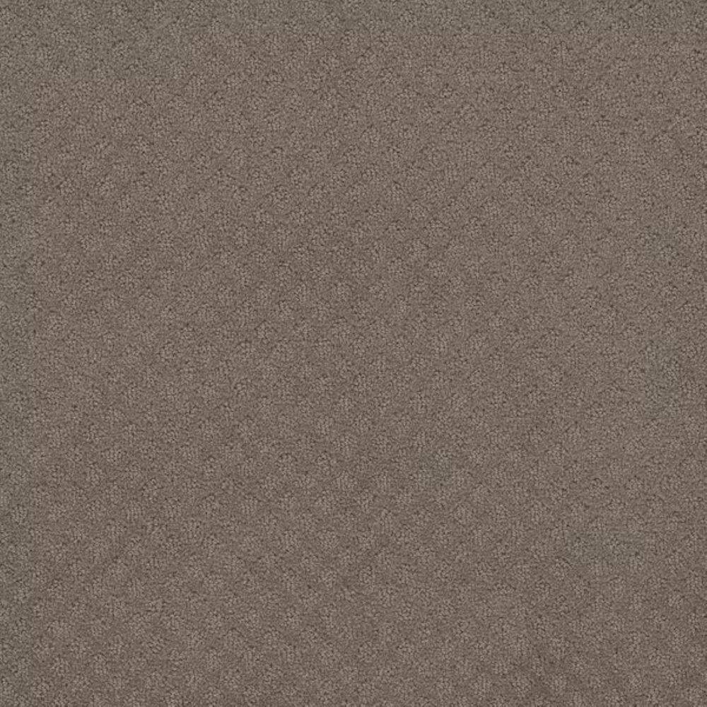 8 in. x 8 in. Pattern Carpet Sample-Bell Loop-Color Stillness price history on PriceWatchPro