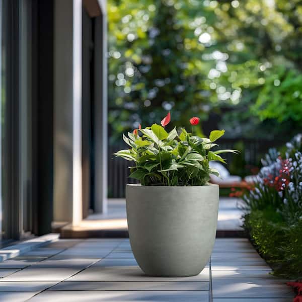 hanging strawberry plant Strawberry Hanging Kit (10 Plants) – IRaiseMore.com main image 1