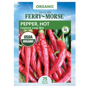 Organic Pepper Cayenne Long Slim Fruit Seed