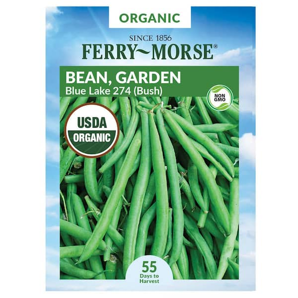 Ferry-Morse Organic Bean Blue Lake 274 Fruit Seed 1300 - The Home Depot