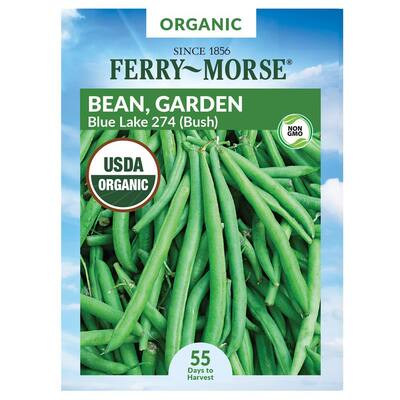 Bean Blue Lake 274 Organic Seed