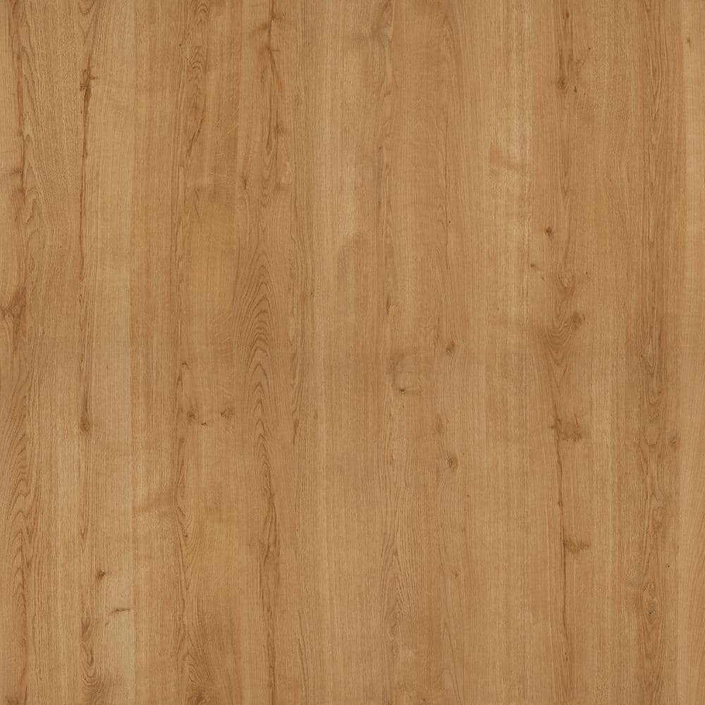 Wilsonart 3 ft. x 8 ft. Laminate Sheet in Landmark Wood with Premium  SoftGrain Finish 7981K123503696 - The Home Depot