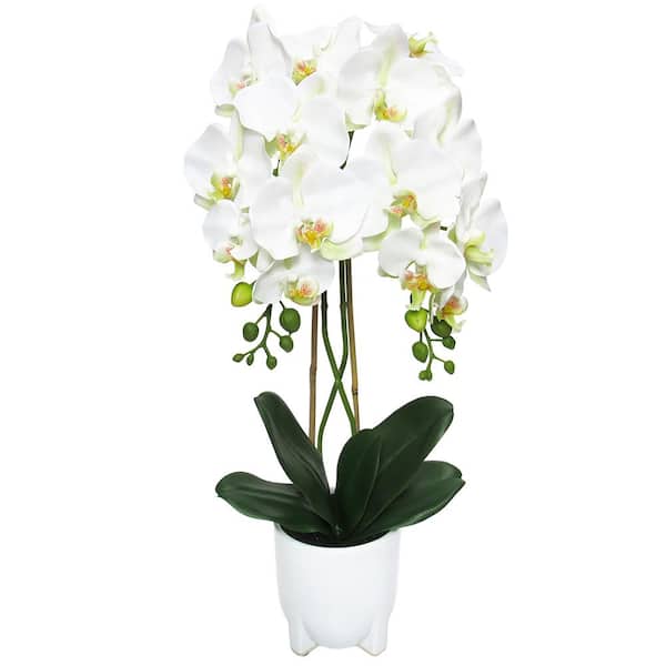 25 in. Cream White Artificial Phalaenopsis Orchid Flower Arrangement in White Modern Ceramic Pot