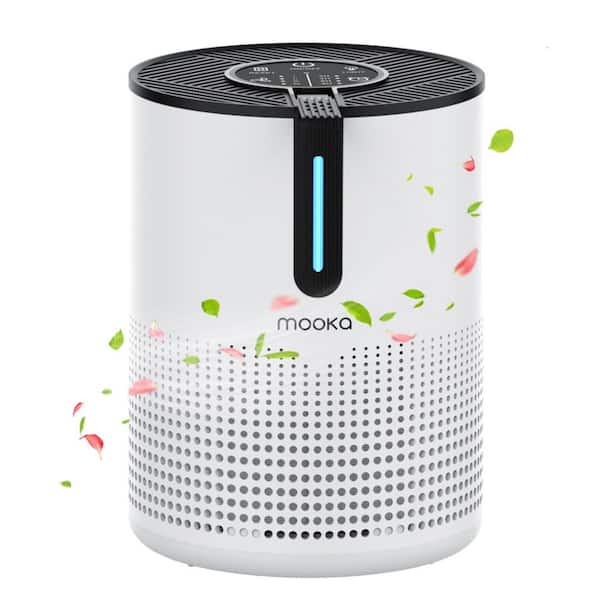 430 sq. ft. 4-Speed Mode H13 True HEPA Personal Air Purifier in White, w/ Timer, Ultra Quiet, Remove Smoke, Odor, Dander