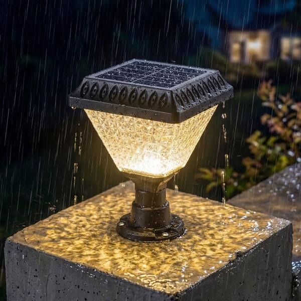 C Cattleya Solar Black Weather Resistant RGB Integrated LED