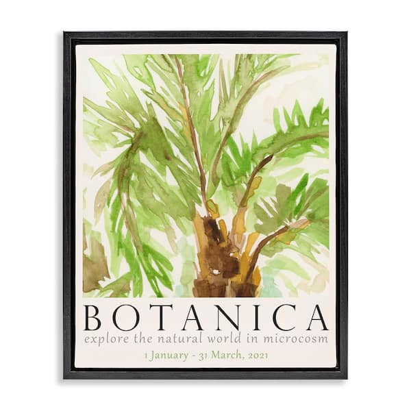 Stupell Industries Botanica Poster Palm Tree by June Erica Vess Black Floater Frame Nature Graphic Art Print 31 in. x 25 in.