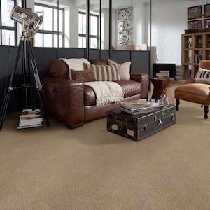 Karma II - Wood Spice - Brown 50.5 oz. Nylon Texture Installed Carpet