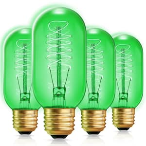 40-Watt Equivalent T45 Green Dimmable E26 Vintage Edison Incandescent-Light Bulb for Halloween Christmas (4-Pack)