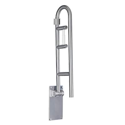 30 in. x 1-1/4 in. Flip-up Screw Grab Bar with Paper Holder in Peened Stainless Steel
