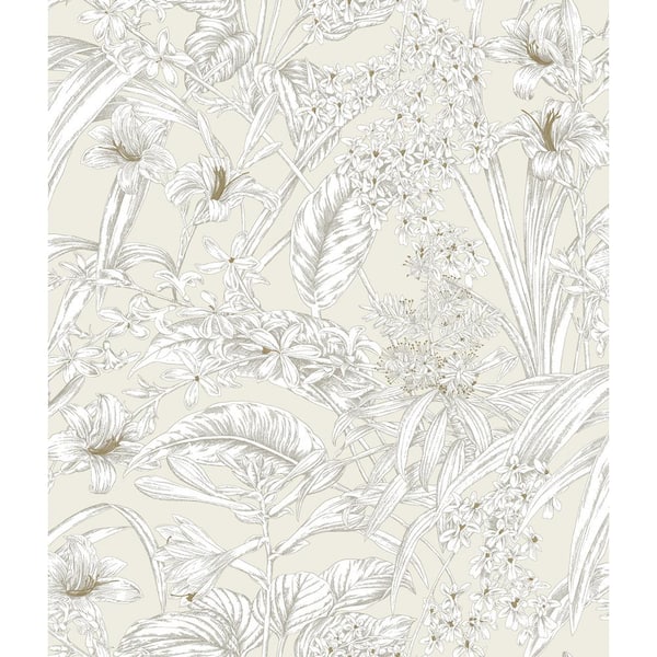 York Wallcoverings Orchid Conservatory Toile Beige and Taupe Wallpaper Roll