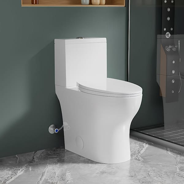 17 in. Tall 2-Piece Toilet 1.0/1.28 GPF Dual Flush Elongated Toilet in White Map Flush 1000g with Soft Close Seat